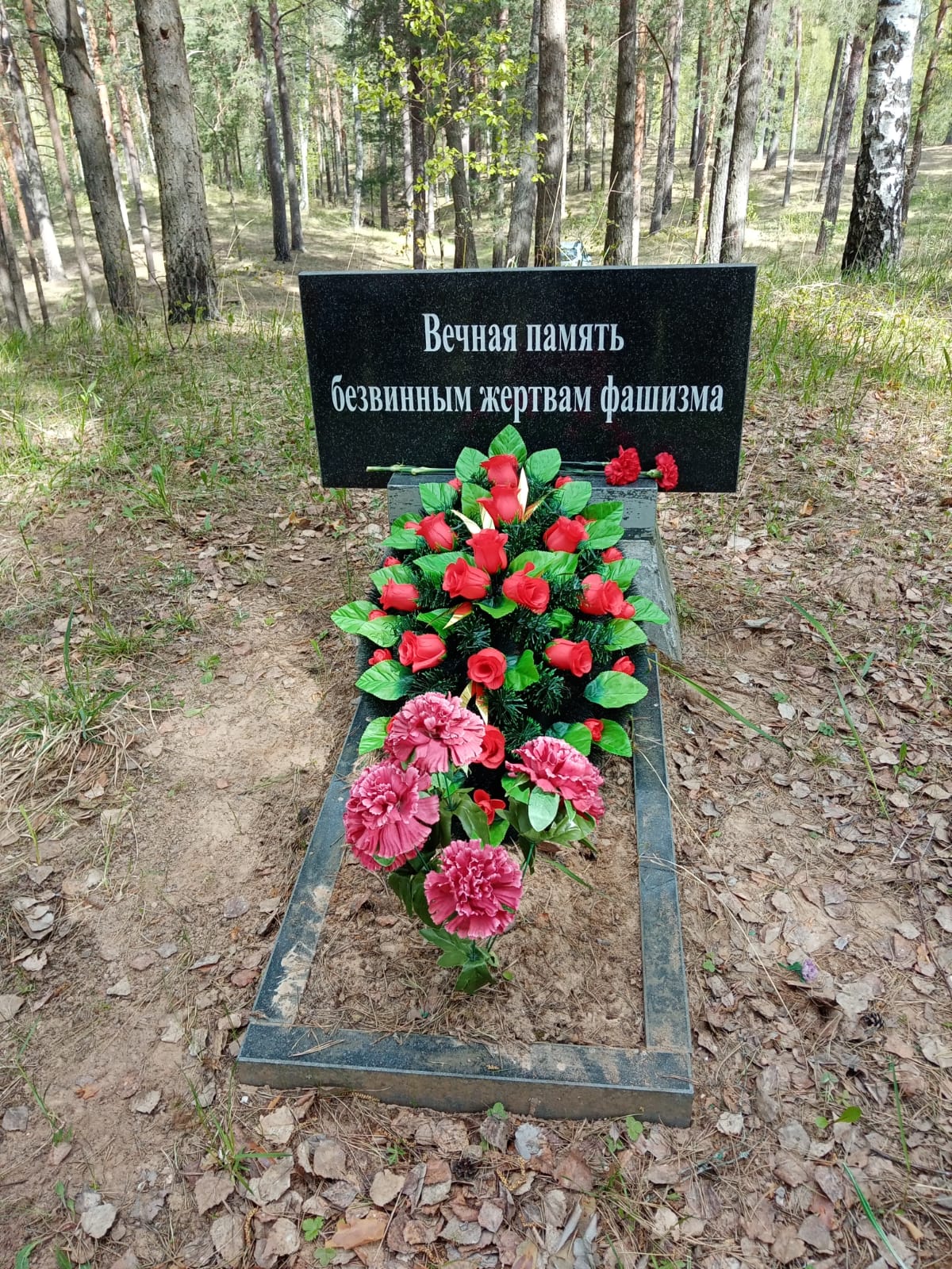 ЗАБОЛАСТЬЕ ЗАБОЛАСТЬЕ.