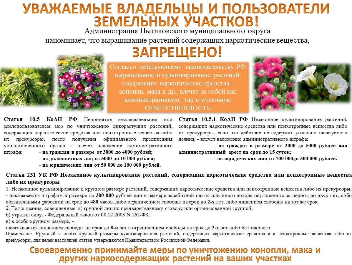 Выращивание растений, содержащие наркотические вещества, запрещено!.